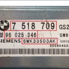 Centralita Caja De Cambios Bmw E46 E39 5wk33503ak 96 025 346 7 518 709