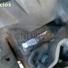 CAJA CAMBIOS SEAT IBIZA TDI 100CV GGU