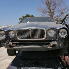 calandra delantera jaguar xj12 1986